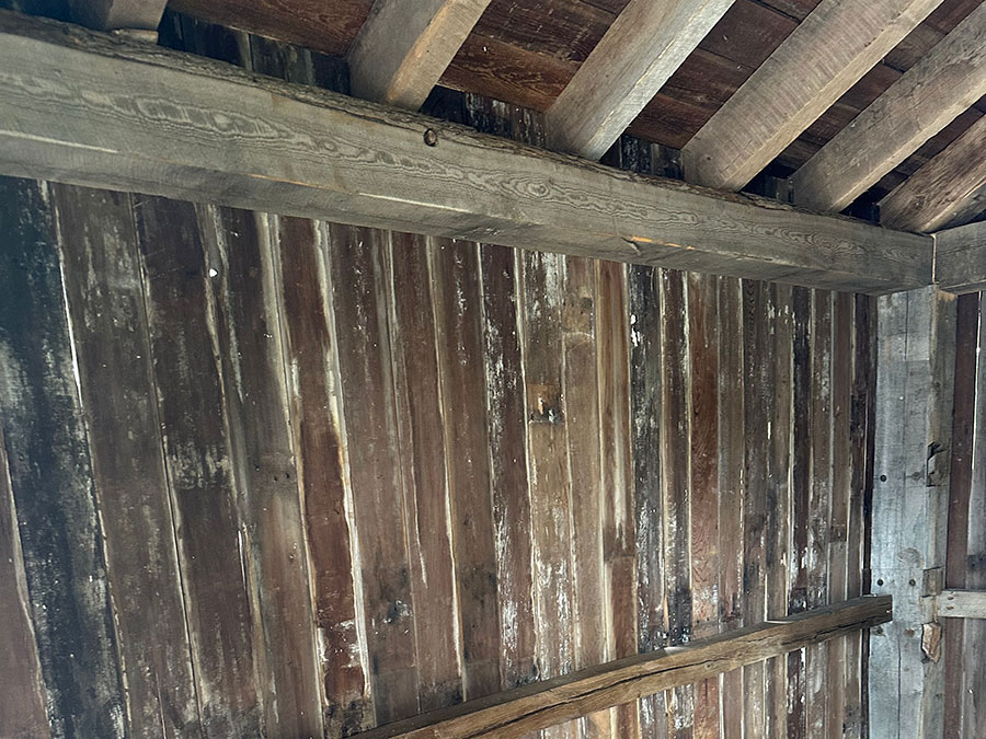 Rustic Tin Roof