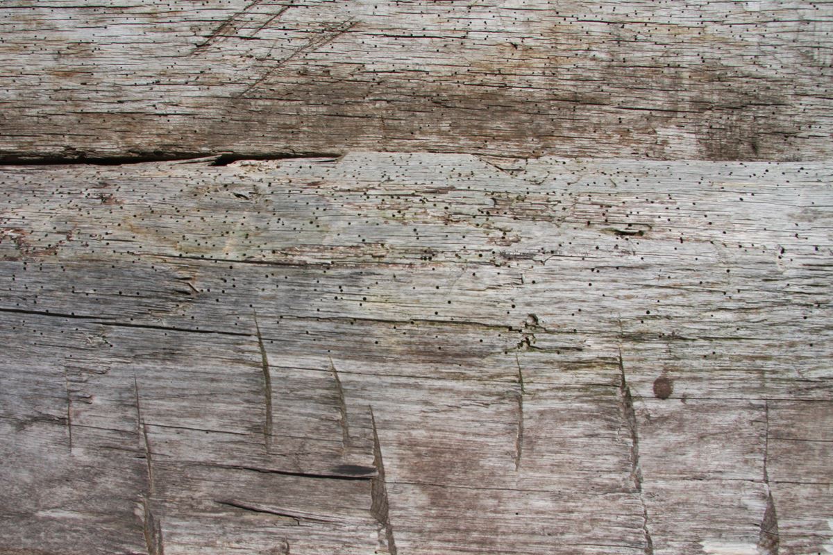 Triple B Enterprises Reclaimed Timber Company - Reclaimed Timber Company - Your Source For Live Edge Slabs / Boards
