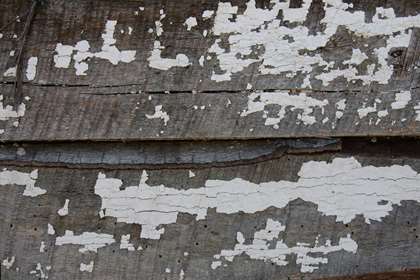 Triple B Enterprises Textures - Your Source For Sawn Barn Timbers