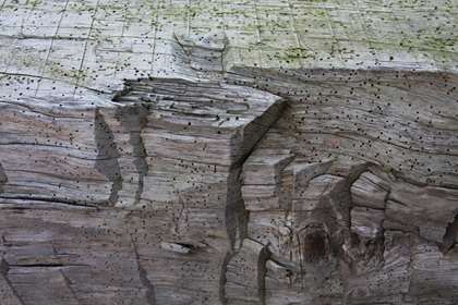Reclaimed Timber Company - Your Source For Reclaimed Hand-Hewn Timbers
