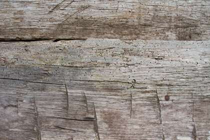 Triple B Enterprises Textures - Your Source For Reclaimed Wall Cladding