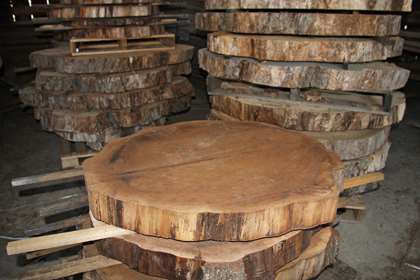 Triple B Enterprises Tree Trunk Slices - Your Source For White Oak Hand-Hewn Timbers